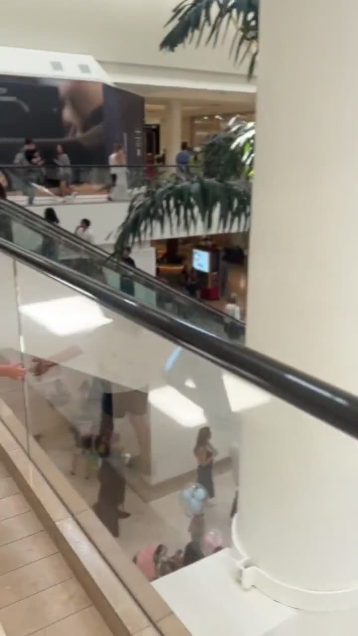 A short clip walking the upper level of South Coast Plaza, looking down over palms to the shoppers and the carousel area below