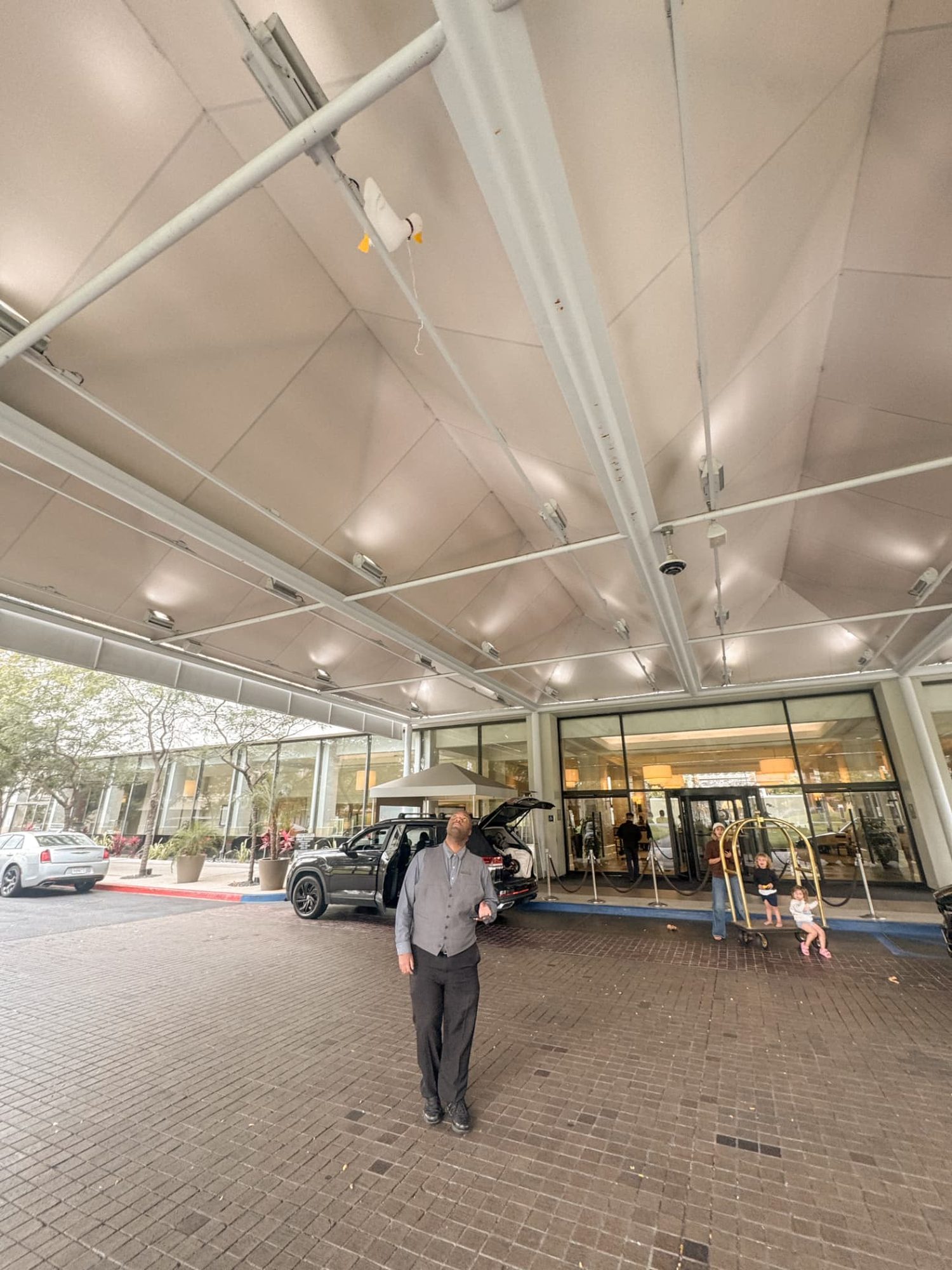 Westin staff looking up toward a toddler's escaped balloon caught above the hotel valet area