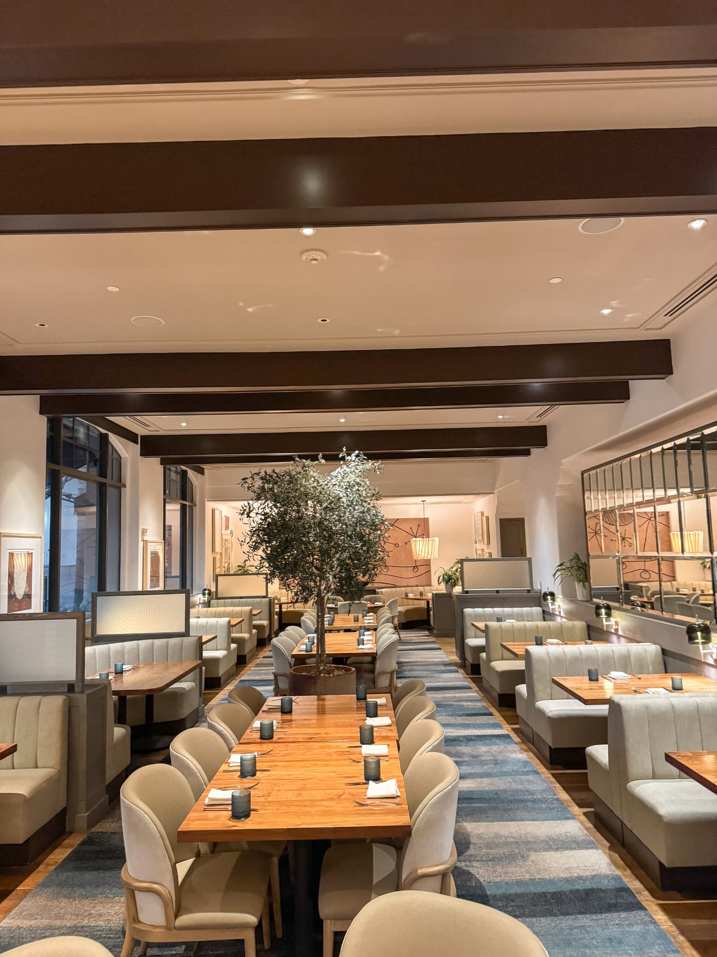 The interior of Finch & Fork, with banquettes, long wooden tables and an olive tree in the center of the dining room
