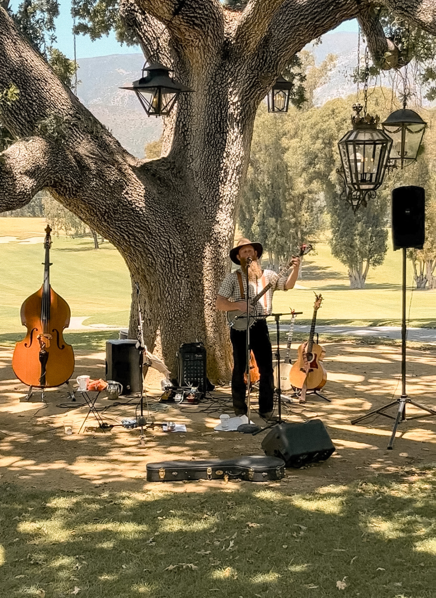 A musician playing under the lantern-hung oak tree on the lawn at Ojai Valley Inn in the evening