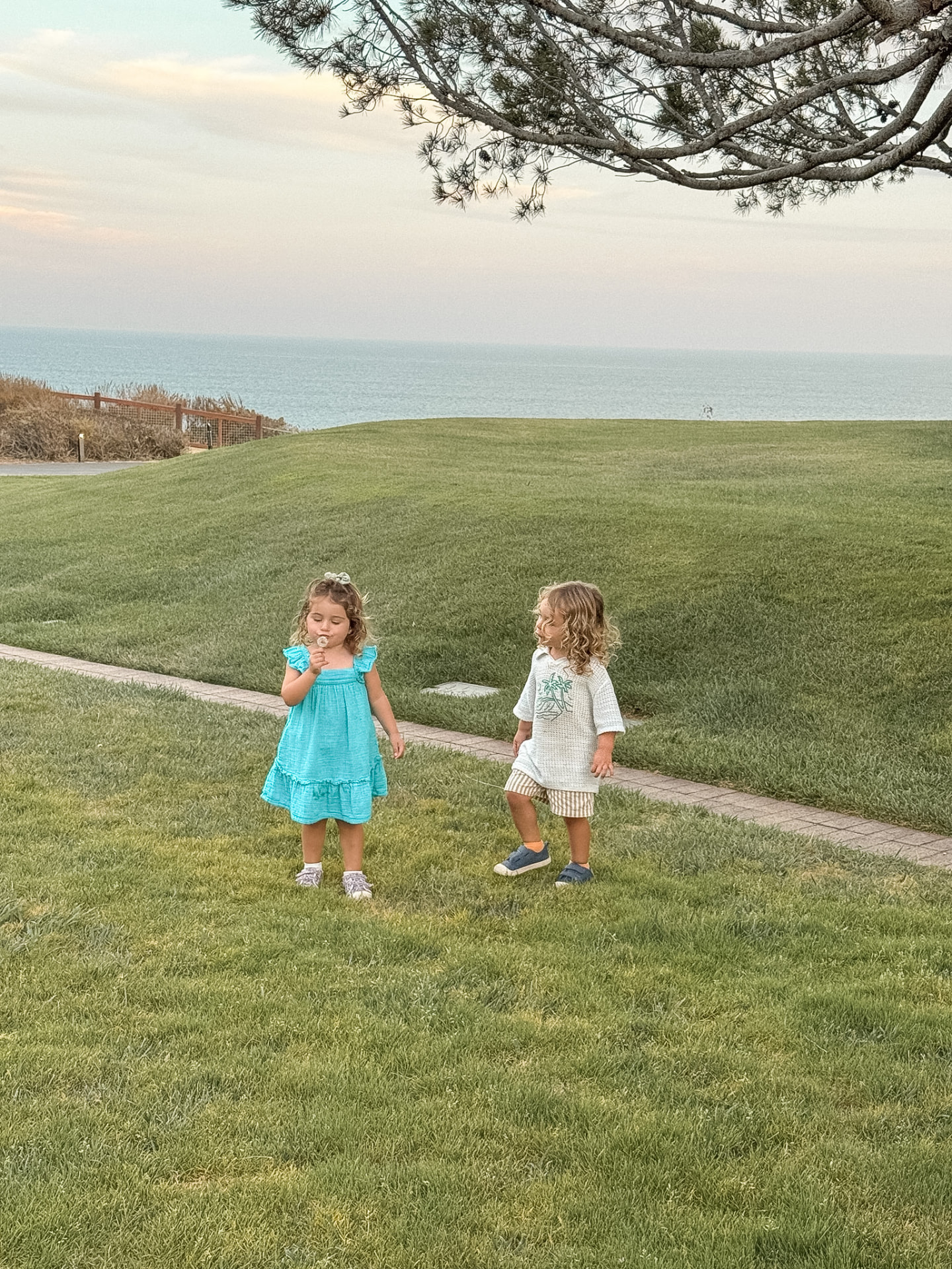 Our twins on a resort lawn with the Pacific behind them